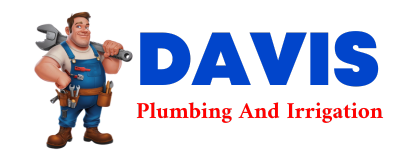 Trusted plumber in CARRIER